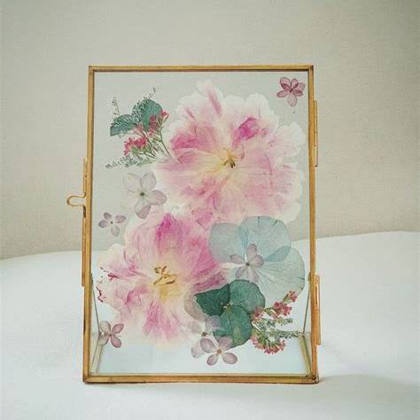 pressed pink flowers arranged on paper