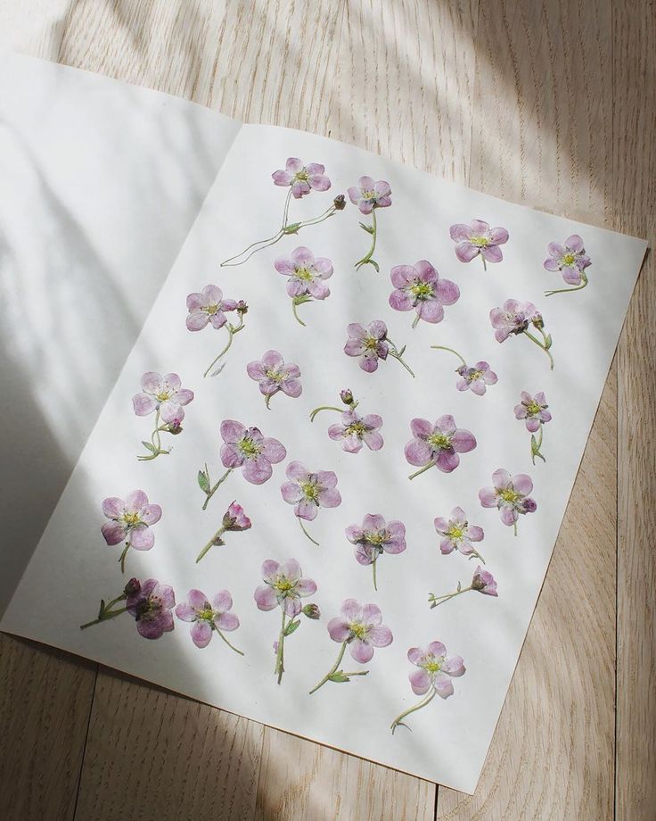 tiny pressed pink flowers